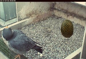 7687_10151391467268182_98333682_n